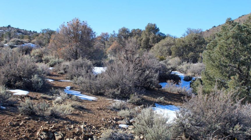 Imperial Gold Placer — photograph 85 of the claim ground, Douglas County, Nevada
