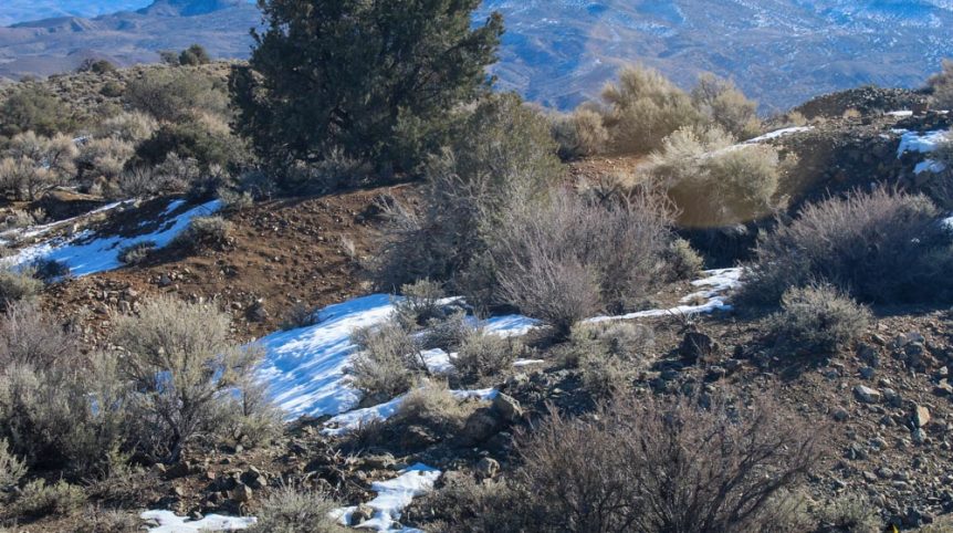 Imperial Gold Placer — photograph 89 of the claim ground, Douglas County, Nevada