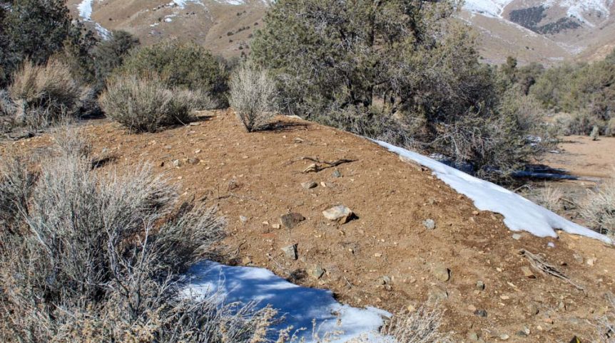 Imperial Gold Placer — photograph 90 of the claim ground, Douglas County, Nevada