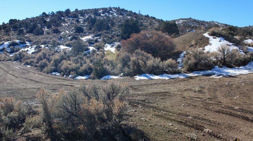 Imperial Gold Placer — photograph 91 of the claim ground, Douglas County, Nevada