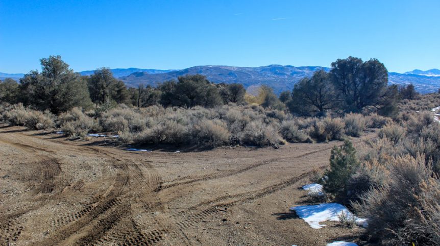 Imperial Gold Placer — photograph 92 of the claim ground, Douglas County, Nevada