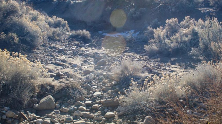Imperial Gold Placer — photograph 93 of the claim ground, Douglas County, Nevada