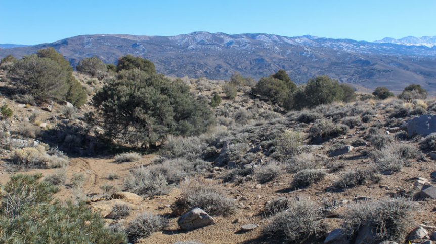 Sun West Gold — photograph 5 of the claim ground, Douglas County, Nevada