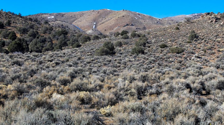 Sun West Gold — photograph 7 of the claim ground, Douglas County, Nevada