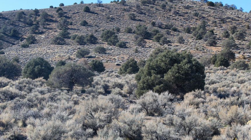 Sun West Gold — photograph 8 of the claim ground, Douglas County, Nevada