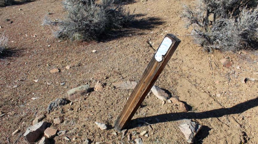 Sun West Gold — photograph 9 of the claim ground, Douglas County, Nevada