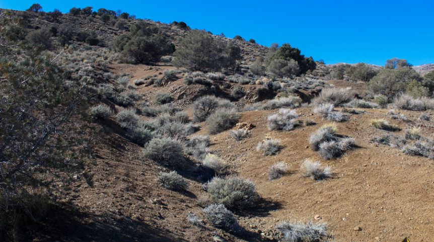 Sun West Gold — photograph 11 of the claim ground, Douglas County, Nevada