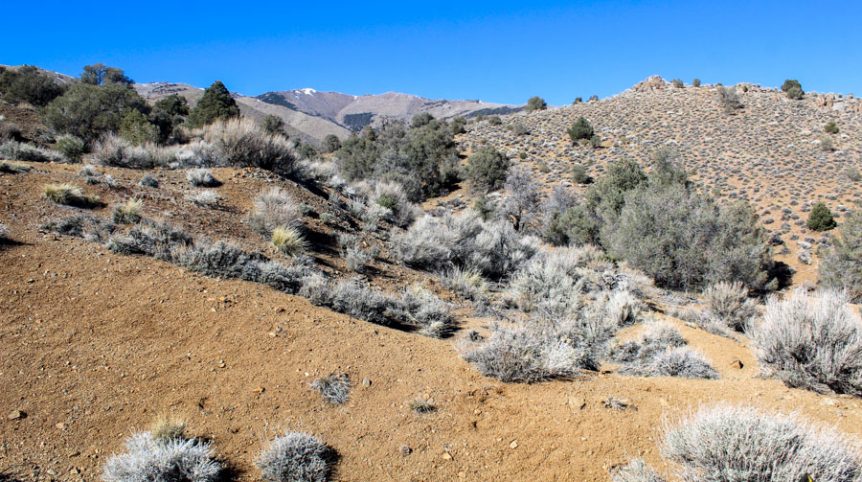 Sun West Gold — photograph 12 of the claim ground, Douglas County, Nevada