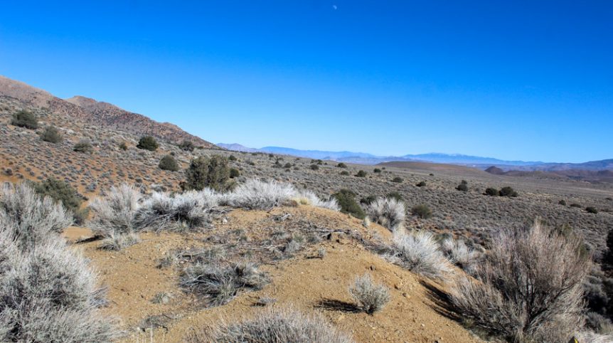 Sun West Gold — photograph 13 of the claim ground, Douglas County, Nevada