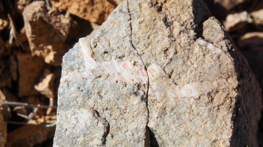 Sun West Gold — photograph 14 of the claim ground, Douglas County, Nevada