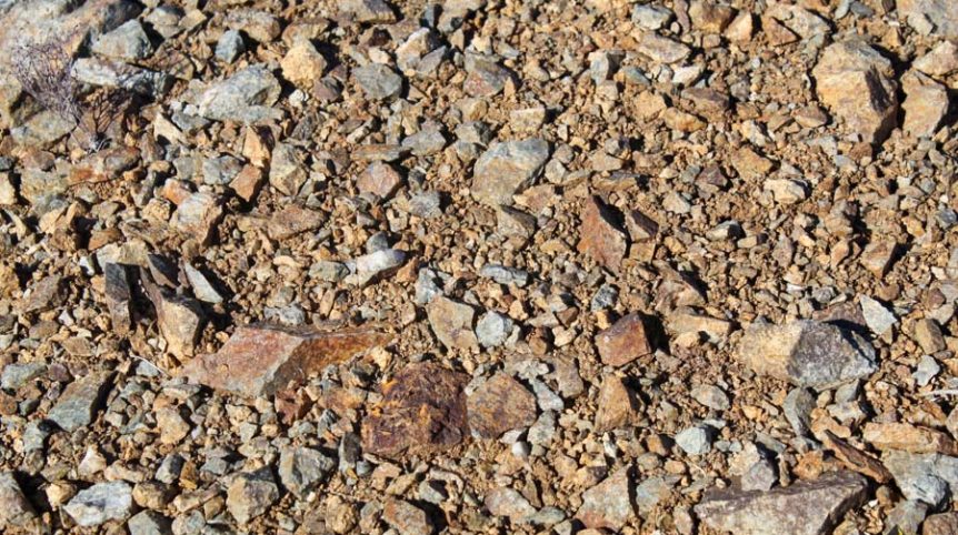 Sun West Gold — photograph 16 of the claim ground, Douglas County, Nevada