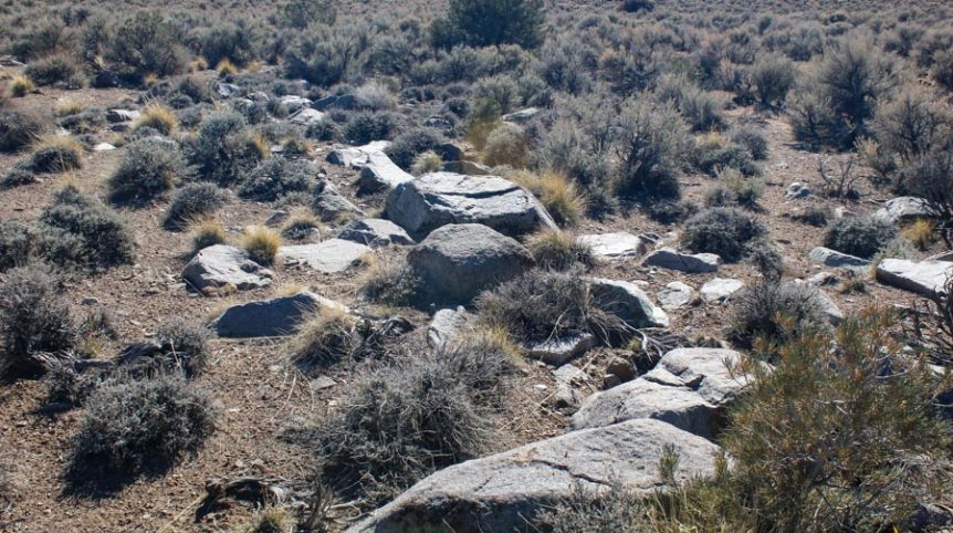 Sun West Gold — photograph 17 of the claim ground, Douglas County, Nevada