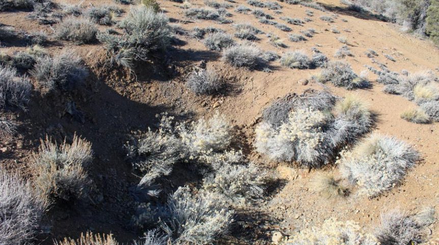 Sun West Gold — photograph 19 of the claim ground, Douglas County, Nevada