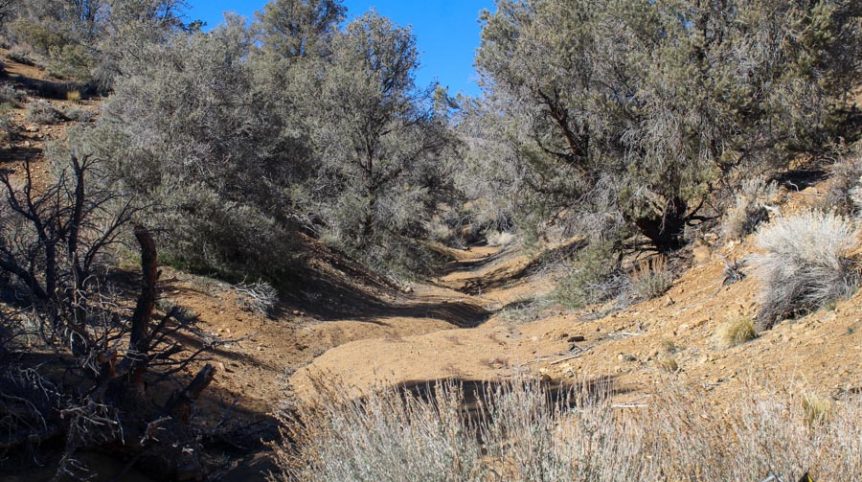 Sun West Gold — photograph 23 of the claim ground, Douglas County, Nevada