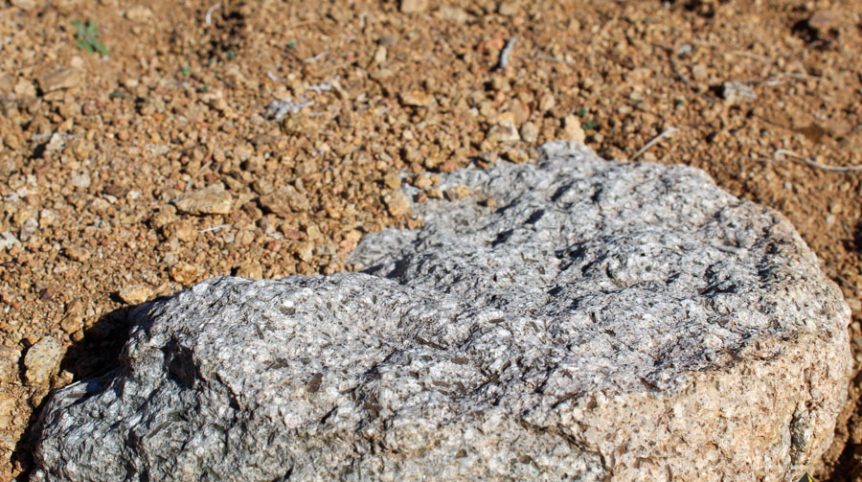 Sun West Gold — photograph 24 of the claim ground, Douglas County, Nevada