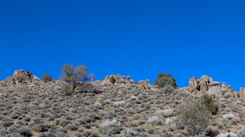 Sun West Gold — photograph 25 of the claim ground, Douglas County, Nevada