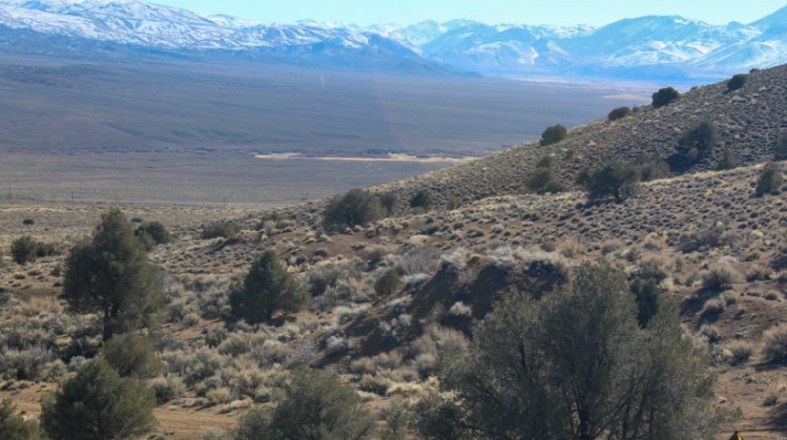 Sun West Gold — photograph 27 of the claim ground, Douglas County, Nevada