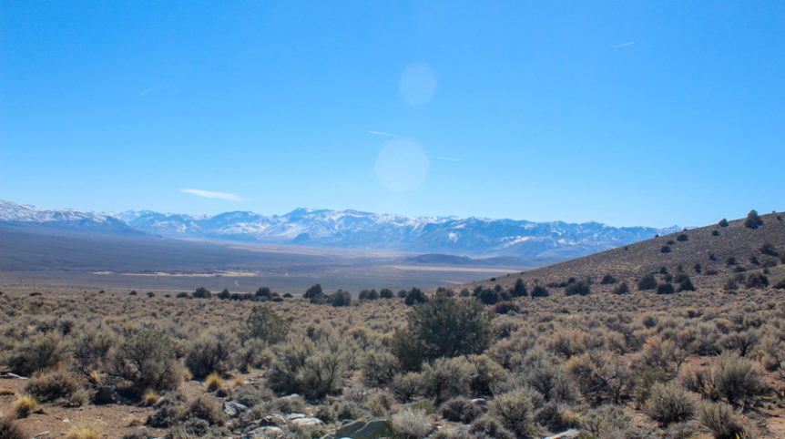 Sun West Gold — photograph 28 of the claim ground, Douglas County, Nevada