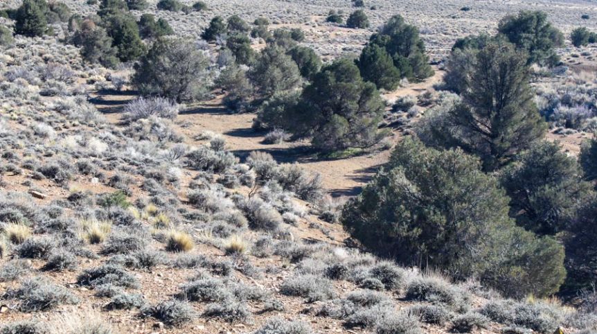 Sun West Gold — photograph 29 of the claim ground, Douglas County, Nevada