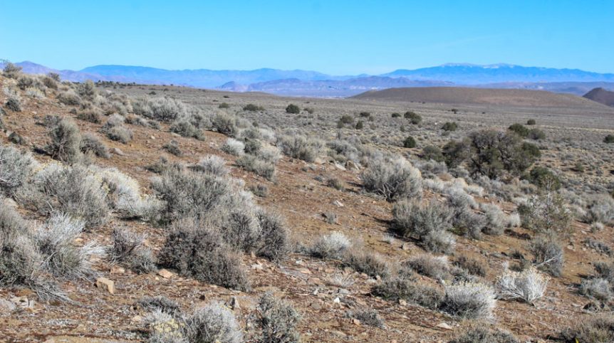 Sun West Gold — photograph 30 of the claim ground, Douglas County, Nevada