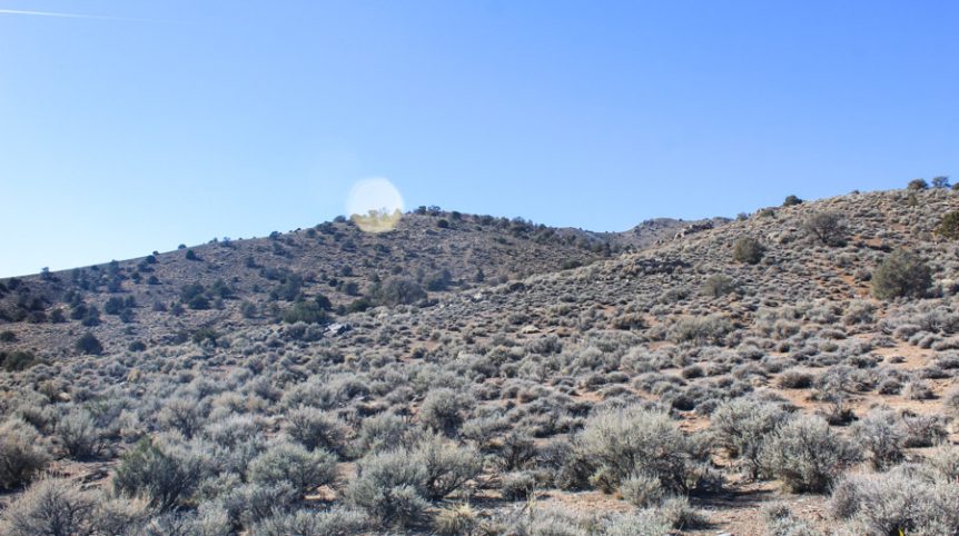 Sun West Gold — photograph 39 of the claim ground, Douglas County, Nevada