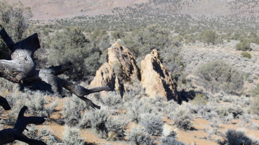 Sun West Gold — photograph 41 of the claim ground, Douglas County, Nevada