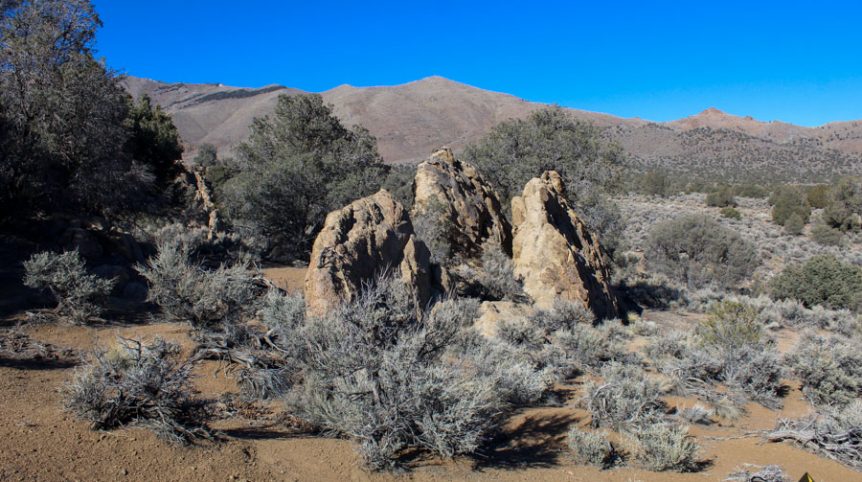 Sun West Gold — photograph 42 of the claim ground, Douglas County, Nevada