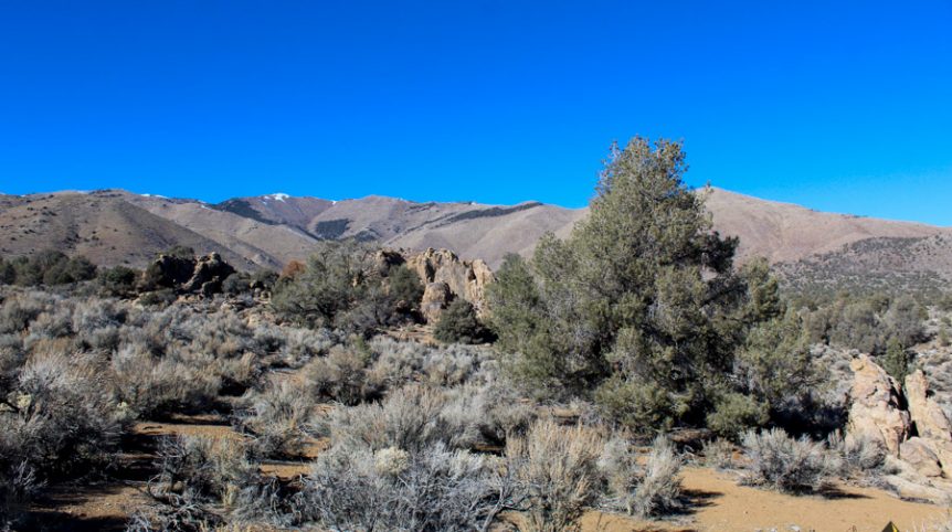 Sun West Gold — photograph 43 of the claim ground, Douglas County, Nevada
