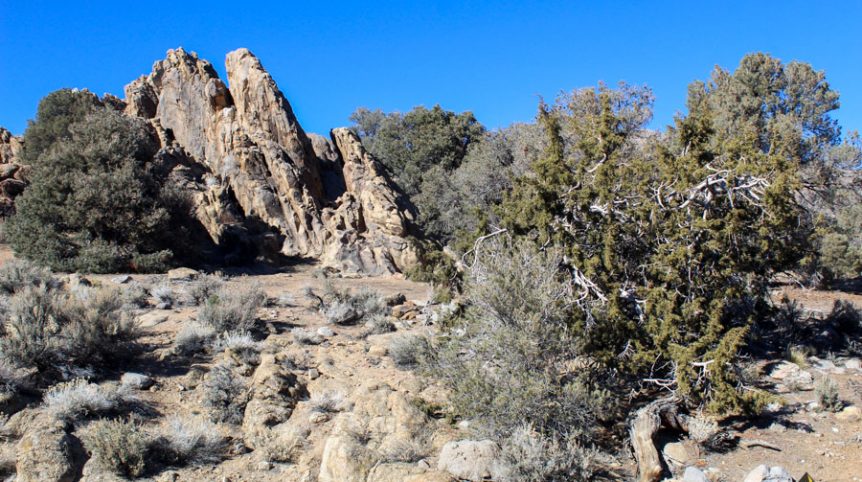 Sun West Gold — photograph 45 of the claim ground, Douglas County, Nevada