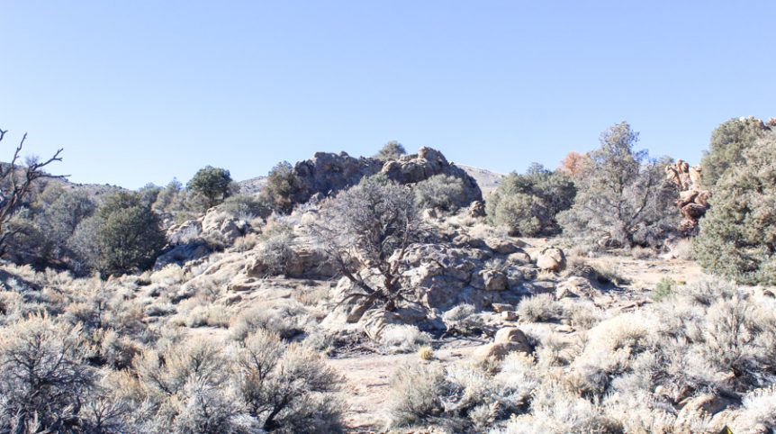 Sun West Gold — photograph 46 of the claim ground, Douglas County, Nevada