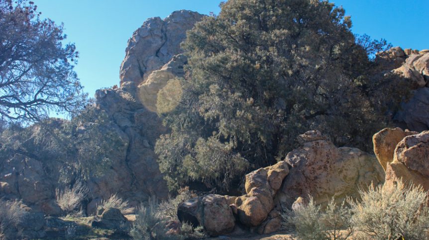 Sun West Gold — photograph 49 of the claim ground, Douglas County, Nevada
