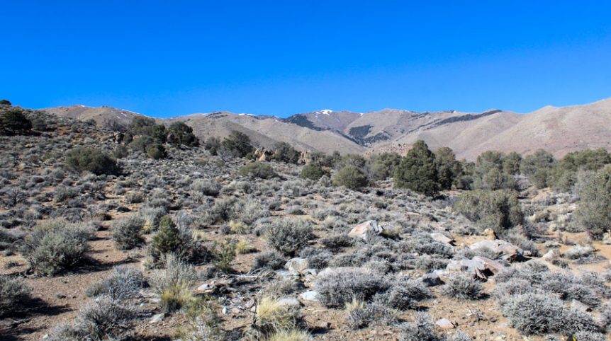 Sun West Gold — photograph 50 of the claim ground, Douglas County, Nevada