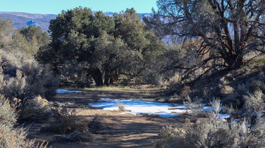 Sun West Gold — photograph 52 of the claim ground, Douglas County, Nevada