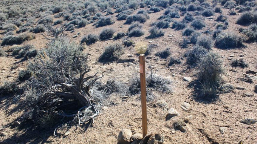 Sun West Gold — photograph 55 of the claim ground, Douglas County, Nevada