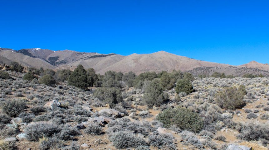 Sun West Gold — photograph 56 of the claim ground, Douglas County, Nevada