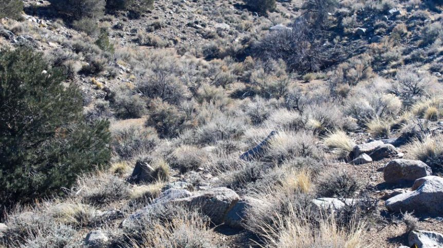 Sun West Gold — photograph 58 of the claim ground, Douglas County, Nevada