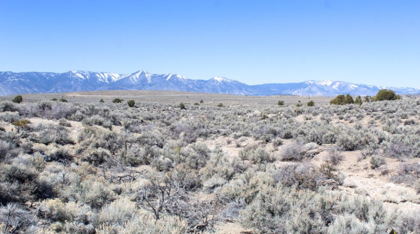 Buckeye Creek #1–#4 — photograph 91 of the claim ground, Douglas County, Nevada