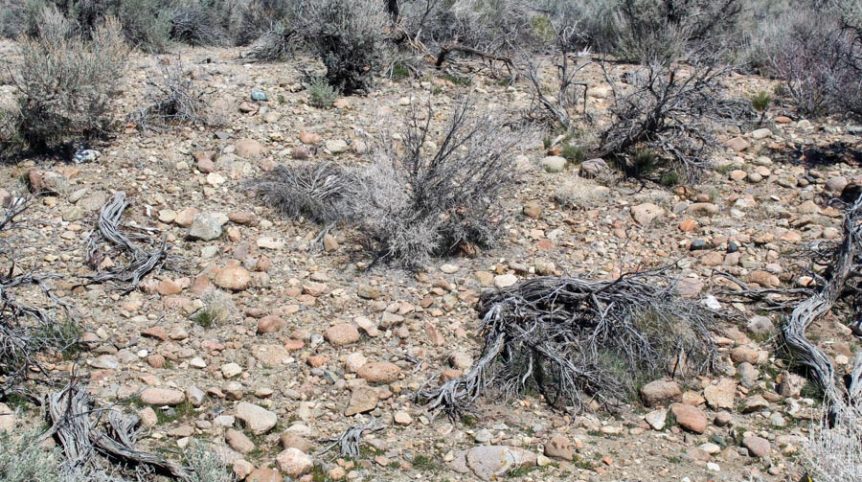 Buckeye Creek #1–#4 — photograph 92 of the claim ground, Douglas County, Nevada