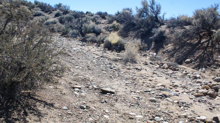 Buckeye Creek #1–#4 — photograph 93 of the claim ground, Douglas County, Nevada