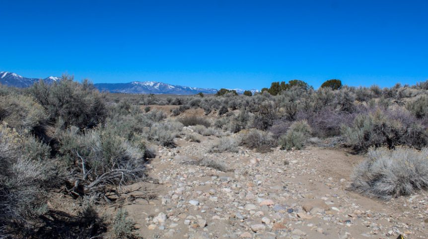 Buckeye Creek #1–#4 — photograph 94 of the claim ground, Douglas County, Nevada