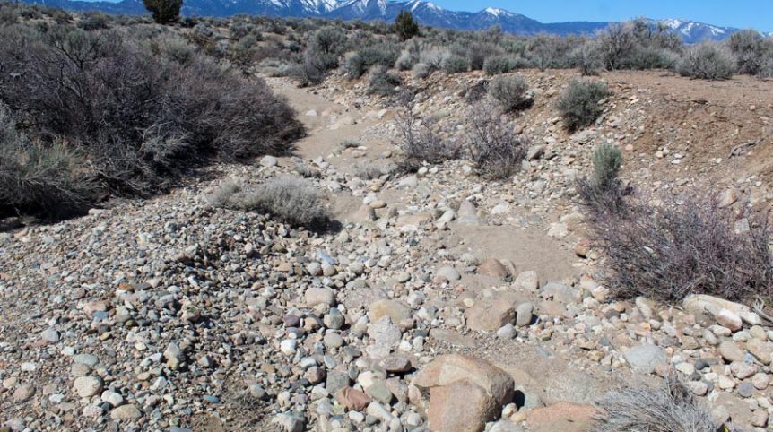 Buckeye Creek #1–#4 — photograph 95 of the claim ground, Douglas County, Nevada