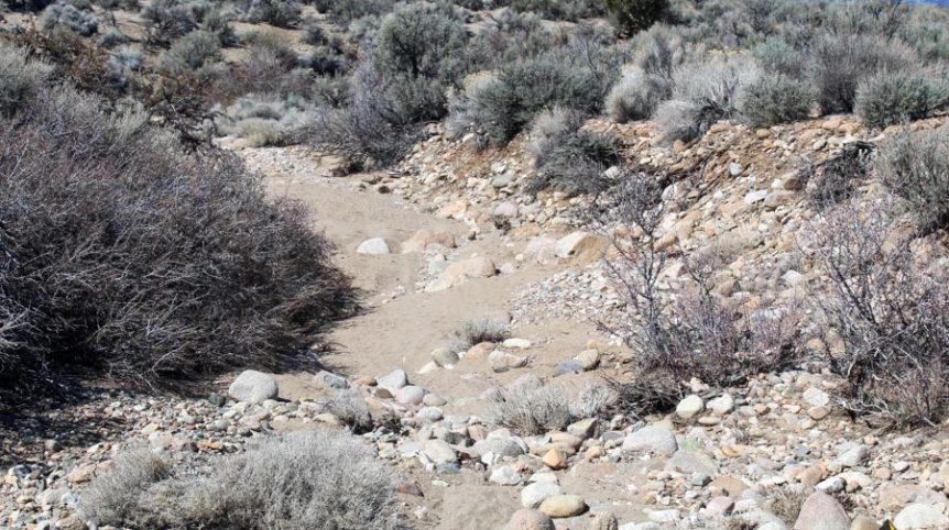 Buckeye Creek #1–#4 — photograph 96 of the claim ground, Douglas County, Nevada