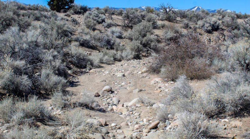 Buckeye Creek #1–#4 — photograph 97 of the claim ground, Douglas County, Nevada