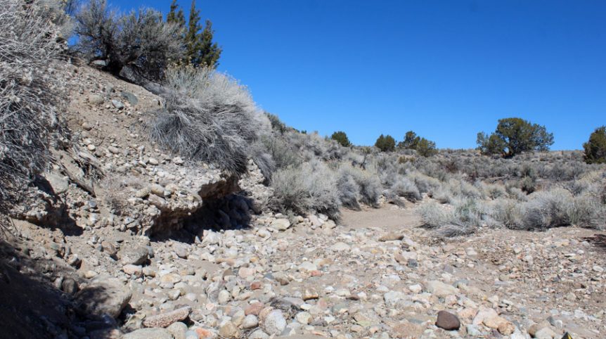 Buckeye Creek #1–#4 — photograph 98 of the claim ground, Douglas County, Nevada
