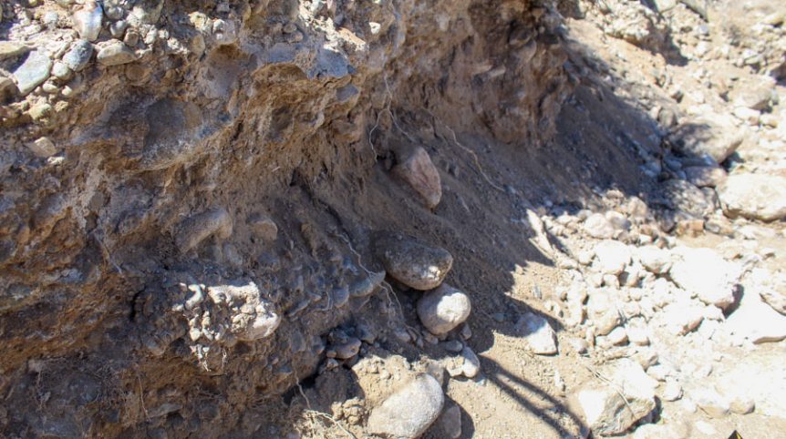 Buckeye Creek #1–#4 — photograph 99 of the claim ground, Douglas County, Nevada