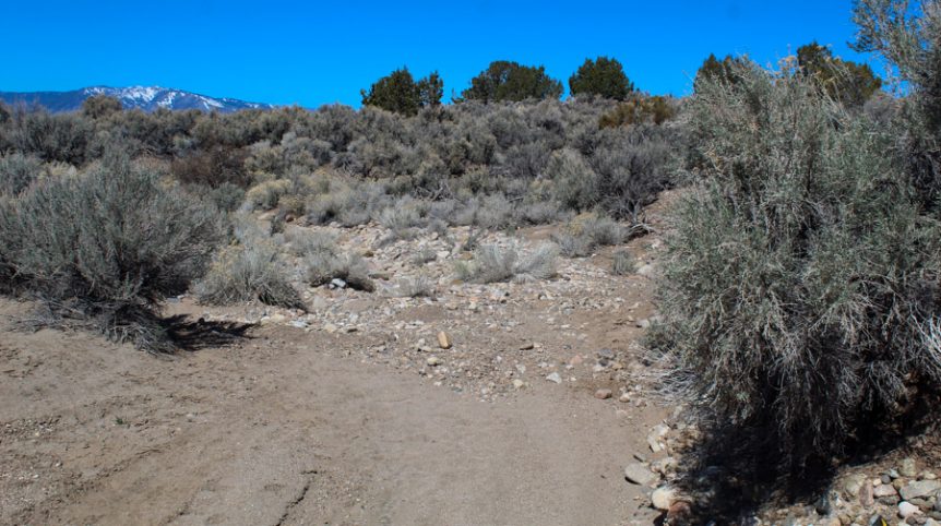Buckeye Creek #1–#4 — photograph 100 of the claim ground, Douglas County, Nevada