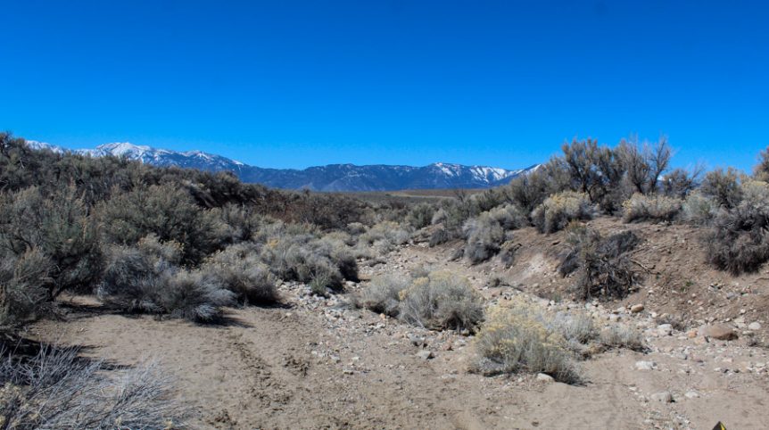Buckeye Creek #1–#4 — photograph 101 of the claim ground, Douglas County, Nevada