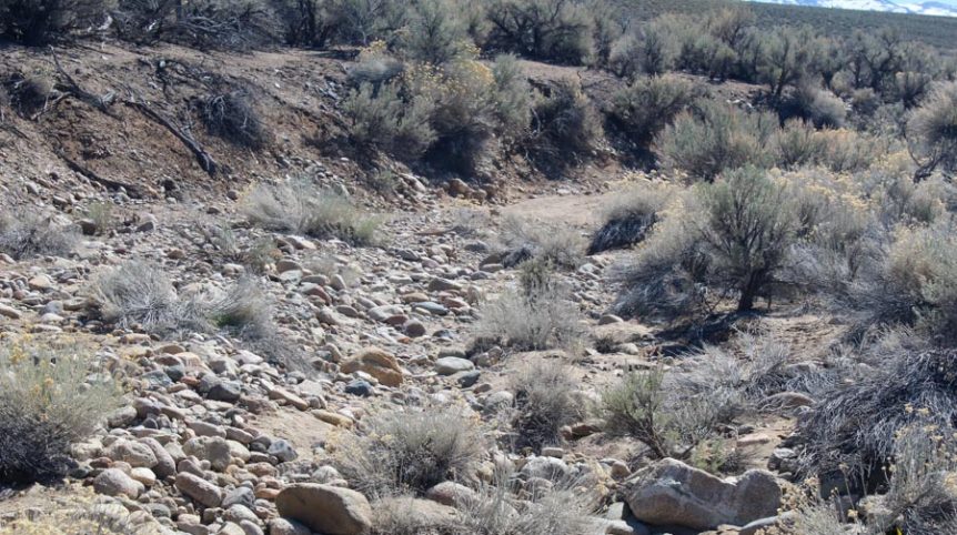 Buckeye Creek #1–#4 — photograph 103 of the claim ground, Douglas County, Nevada