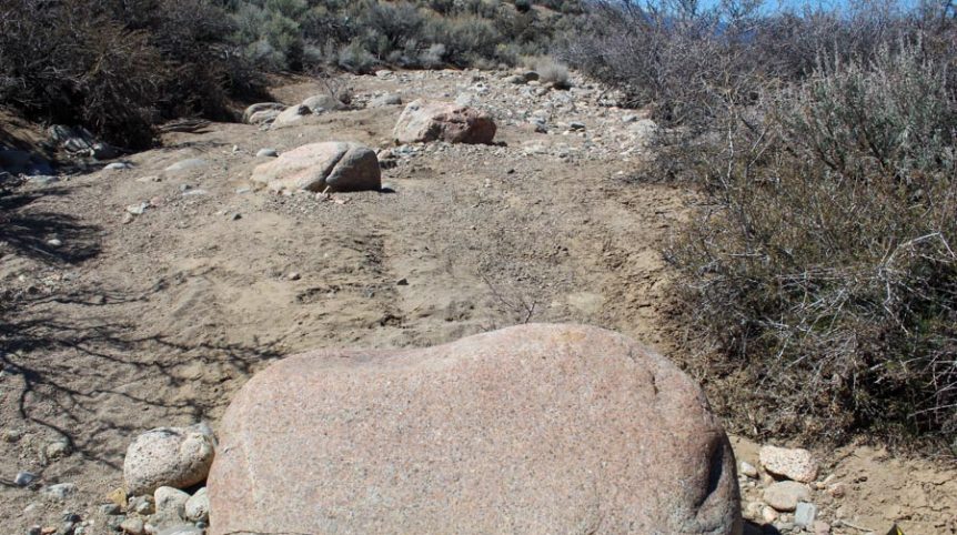 Buckeye Creek #1–#4 — photograph 107 of the claim ground, Douglas County, Nevada