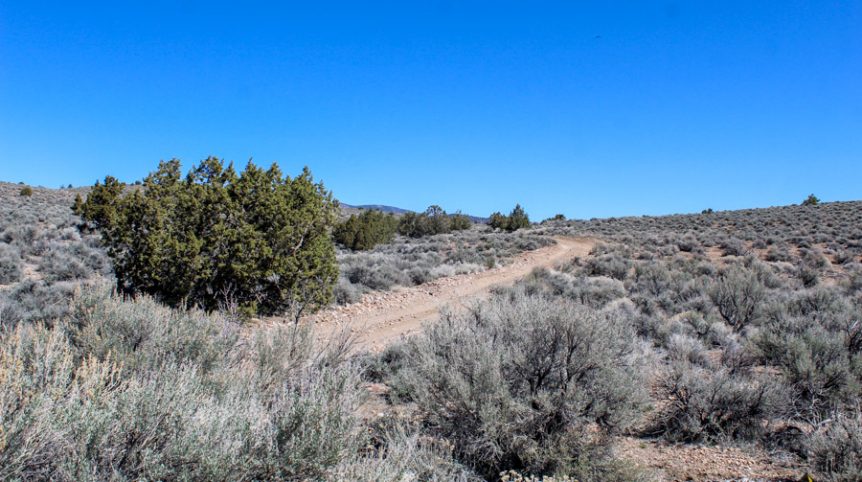 Buckeye Creek #1–#4 — photograph 108 of the claim ground, Douglas County, Nevada